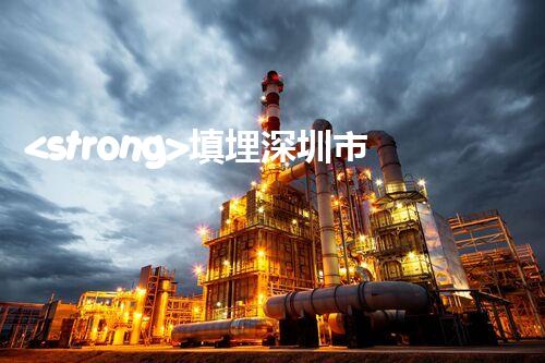 <strong>填埋深圳市危險(xiǎn)廢物處理站有限公司化工設(shè)施安全解體：如何高效處理復(fù)雜工業(yè)遺留問(wèn)題？</strong>